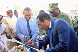 حزمة واسعة من التدخلات الاجتماعية والصحية بالنيل الأزرق 