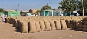 والي الولاية الشمالية يمنع نقل السلع والبضائع من الولاية الشمالية إلى ولايات كردفان ودارفور