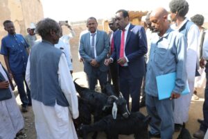 مبادرات تمنح للأسر المستفيدة 