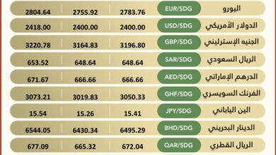 استقرار أسعار العملات الأجنبية ببنك الخرطوم 4 IMG 5812