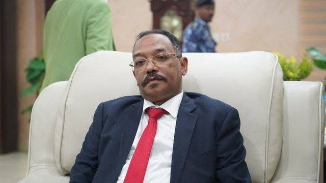 المدير العام للشركة السودانية للموارد المعدنية المحدودة
