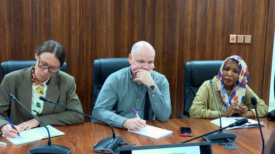 وفد خبراء مجلس الأمن الخاص بتنفيذ القرار 1591