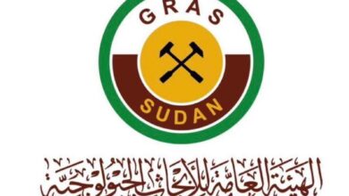 الأبحاث الجيولوجية تستكمل ترتيبات المسح الجيولوجي الشامل 3 FB IMG 1772282509312
