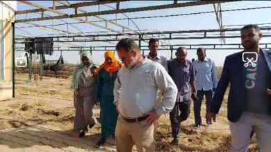 زراعة الخرطوم تبحث مع «تيكا» دعم إعادة التأهيل 2 IMG 20260211 WA0037