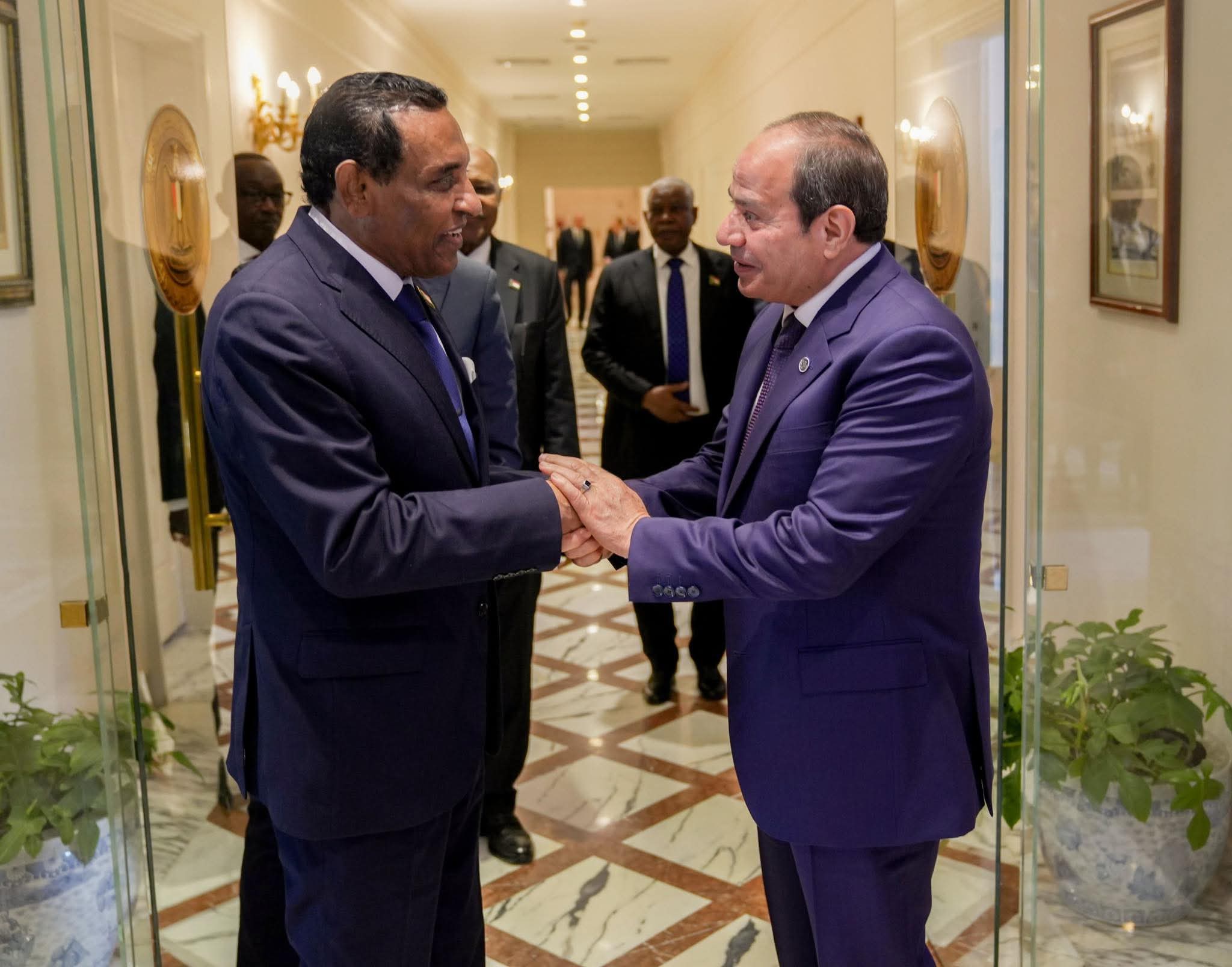 السيسي يلتقي كامل ادريس 