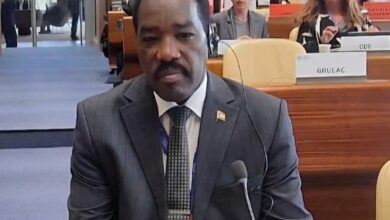 السودان يدعو لدعم الدول المتأثرة بالنزاعات أمام “العمل الدولية” 3 IMG 20260325 WA0011 1