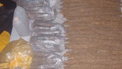 ضبط (327) قندول بنقو بولاية نهر النيل 3 FB IMG 1776524142990