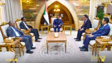 رئيس الوزراء يلتقي الأمين العام لإتحاد مجالس البحث العلمي العريية 3 FB IMG 1776893782620