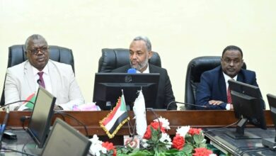 الصحة الاتحادية تطلق خطة إسعافية لجنوب كردفان 3 FB IMG 1781808876071
