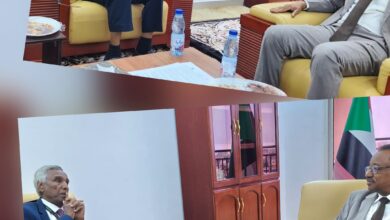 التعليم العالي: التعليم الأهلي والأجنبي والخاص ركيزة أساسية للمنظومة 4 ٢٠٢٦٠٦١٥ ٠٠١٩٠٠