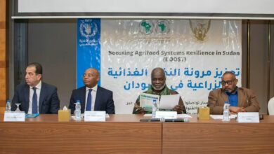 وزير المالية: استعادة الإنتاج والأمن الغذائي أساس التعافي الاقتصادي 5 FB IMG 1789495017047